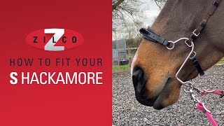 How to correctly fit your Zilco quotSquot Hackamore [upl. by Skilken]