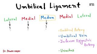 Umbilical Ligament  NEET PG 2023 Recall  Dr Pawan nagar [upl. by Columba]