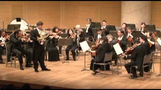 Radek Baborák · WA Mozart  Horn Concerto No 4 · IAllegro moderato [upl. by Edniya]