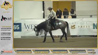 Futurity 2024  ELEONORA PANNUNZI amp SAILOR SMOKEGUN score 2125 [upl. by Pironi]