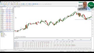 Tradepedia’s CEO delivering a live webinar introducing the Avramis Swing Indicator [upl. by Eigna209]