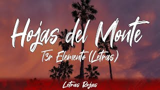 T3r Elemento  Hojas del Monte LyricsLetra  Wing Lyrics [upl. by Aleris]