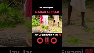 Nabakalebara maha prabhu sri Jagannath nabakalebara odia like subscribe my channel [upl. by Ailssa]