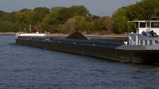 Rhenus Pater läuft trocken Niedrigwasser auf dem Rhein schadet der Binnenschifffahrt [upl. by Serle107]