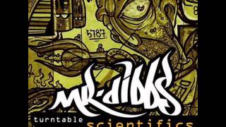 Mr Dibbs Turntable Scientifics  2 Hypothalamus [upl. by Cob]