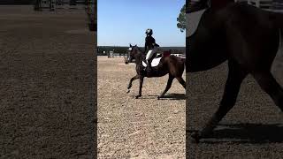 Tie Break w Jesse Shultz TIP Championships 102524 OTTB marepower [upl. by Conlon]