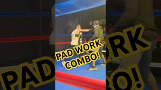 PAD WORK COMBO [upl. by O'Meara211]