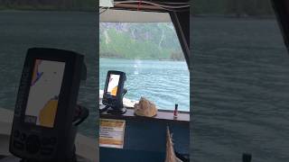 Alaska fishing blowing off some steam 😅 alaska valdez salmon fish fishing commercial kodiak [upl. by Steinman]