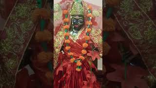 jai maa kalibagheshwardham viral video likeandsubscribe [upl. by Eiramrebma739]