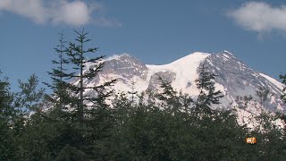 The lifecycle of salmon begin and end in forests [upl. by Riannon]