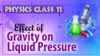 Effect of Gravity on Liquid Pressure  Friction  Physics Class 11  HSC  CBSE  IIT JEE  NEET [upl. by Yevi974]