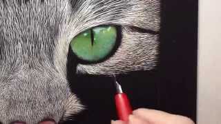 Incredible Tabby Cat Scratch Board Speed Drawing [upl. by Atikir]