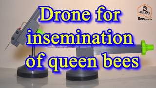 Drone for insemination of queen bees [upl. by Dibbell]