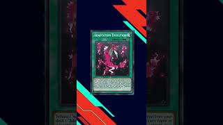 Pokemon YGO Best Custom Cards 17  Adaptation Evolution Adapta Spell cards [upl. by Brott917]