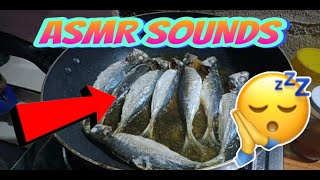 ASMR Green Noise  Best Noise for SLEEP  FRIED FISH SOUND [upl. by Phenice897]