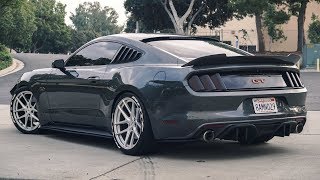 2017 Mustang GT ModsS550 amp Review SuspensionPerformance [upl. by Nimzay]