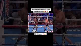 boxeo viralvideo boxing shorts knockout juanmanuelmarquez [upl. by Eitac640]