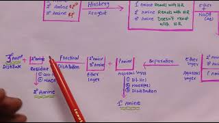 Hinsberg method SEPARATION OF AMINESHinsberg method for Separation of Amines [upl. by Ornie]