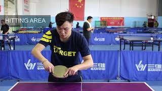 SANWEI COLLEGE  EP04 BACK HAND ATTACK [upl. by Imef866]