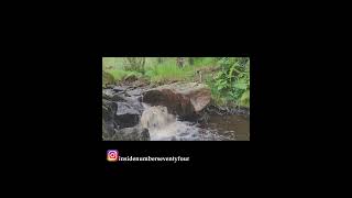 Stream of greens mill Hathersage The Peak District [upl. by Rez]