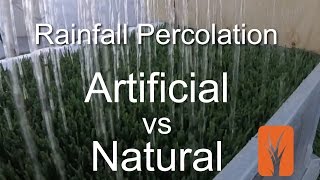 Artificial Grass vs Natural Grass  Percolation Rates [upl. by Lilahk]