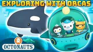 Octonauts  🤿 Exploring with Orcas 🐳  70 Mins Compilation  Underwater Sea Education for Kids [upl. by Yot]