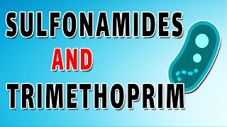 Sulfonamides and Trimethoprim [upl. by Bendick]