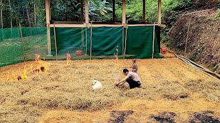 gardening and sowing vegetable seeds  the simple life of a father and his little son  Nông Thôn [upl. by Pike477]