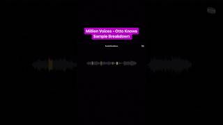 Sample breakdown of Million Voices by Otto Knows credit tracklib [upl. by Irisa]