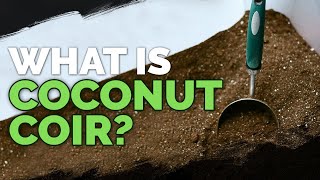 Coconut Coir What it is and How To Use It In The Garden [upl. by Elleved780]