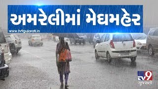 Rain reenters Amrelis Bagasara region after long dry spell  Tv9GujaratiNews [upl. by Dela]