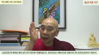 불교의 요점 시리즈  아침독송240715 SN 3523일체 경일체십이처 amp SN 3528불탐 경활성존재와 활성화된 일체근본경전연구회 해피스님 [upl. by Sixel]