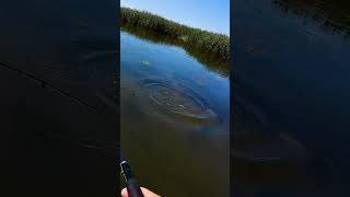 MaritimeExpeditions HOOKUP of a LIFETIME redfish louisiana epiccatch [upl. by Aral]