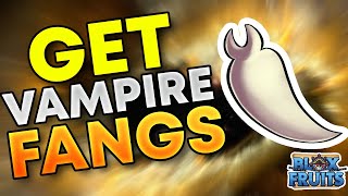 How to Get Vampire Fangs in Bloxfruits [upl. by Rosenstein]