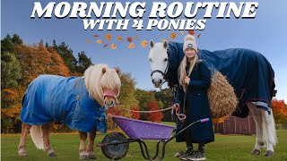 AUTUMN FALL MORNING ROUTINE WITH 4 PONIES [upl. by Manara]