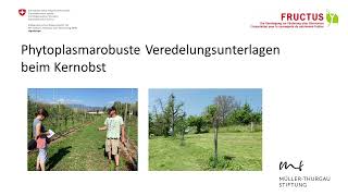 Youtube KernobstPhytoplasmaProjekt MTS Agroscope FRUCTUS [upl. by Aiello439]