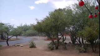 Watch Rain in midtown Tucson [upl. by Ibbetson166]