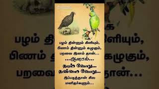 MT27 tamil motivation [upl. by Melan47]