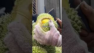 COME TRY THE STINKIEST FRUIT IN THE WORLD WITH ME💚 durian durianmusangking vlog veganfood [upl. by Notsahc]