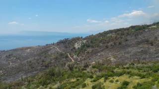 the fire in Makarska Croatia 19062017 tucepi podgora pozar [upl. by Edmunda]