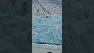 Glacier Bay Alaska [upl. by Adniled]