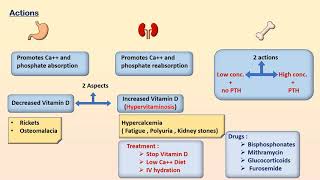 Hormones Regulating Plasma Calcium Level [upl. by Fayola]