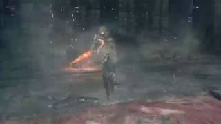 Lothric amp Lorian the Twin Princes No Damage No HUD [upl. by Herwig]