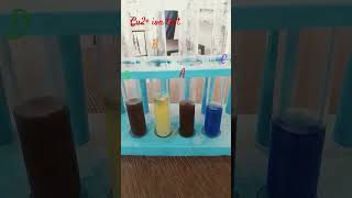 Copper ions test identification test experimentidentificationions [upl. by Ajed]