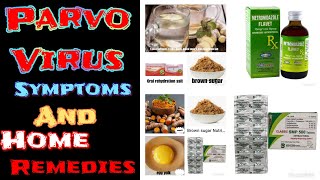 Parvo Virus symptoms and home remedies [upl. by Lemmuela]