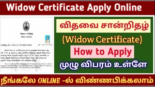 how to apply widow certificate online  widow Certificate apply 2024  விதவை சான்றிதழ்  tnesevai [upl. by Ainav180]