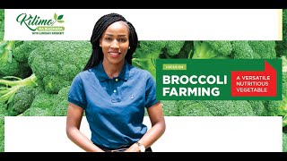 Kilimo Na Biashara  Focus on Broccoli Farming [upl. by Felicle]