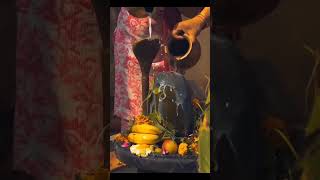 Chillam ka sutta song mahadev mahakal shorts shiv bholenath RanjeetSingh1429 [upl. by Aspasia]