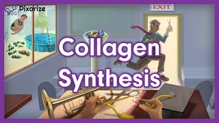 Collagen Synthesis USMLE Mnemonic Preview [upl. by Anerys]