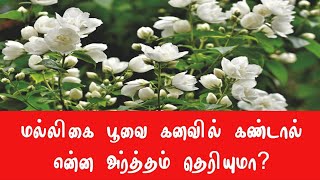 மல்லிகைப் பூவை கனவில் கண்டால்  malligai poo kanavil vanthal enna palan  kanavu palangal in tamil [upl. by Seow]